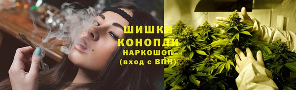 apvp Володарск