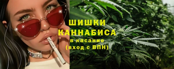 apvp Володарск