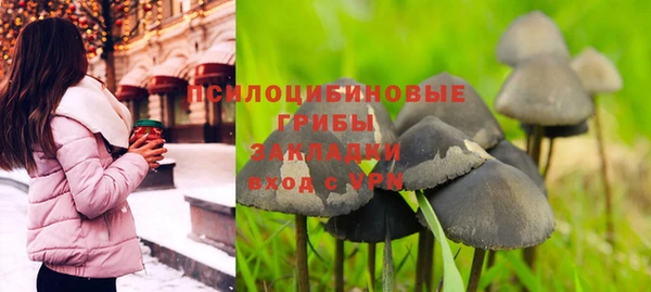 прущие крисы Волосово