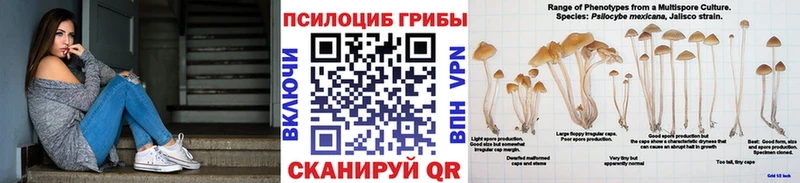 Псилоцибиновые грибы Psilocybine cubensis  Купить  Петровск-Забайкальский 