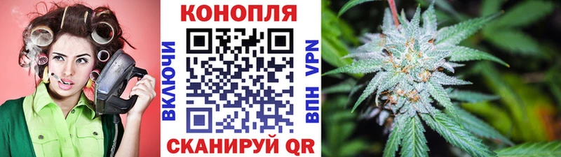 Купить закладки  Петровск-Забайкальский  Шишки марихуана MAZAR 